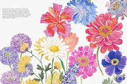 watercolor floral clipart bundle, a Decorative Illustration by Patishop Art (Thumbnail 4 of 9)