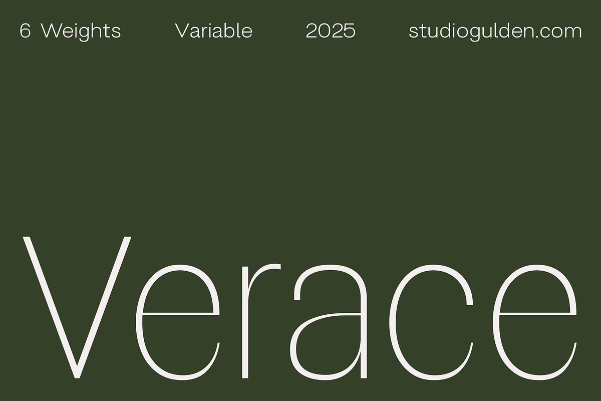 SG Verace Display Font, a Sans Serif Font by Studio Gulden (Photo 1 of 15)