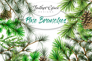 Pine Branches, an Illustration by Feather Grace Designs (Thumbnail 1 of 6)