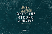Sailor's Grave, a Handwritten Font by Unio Designs (Thumbnail 2 of 7)