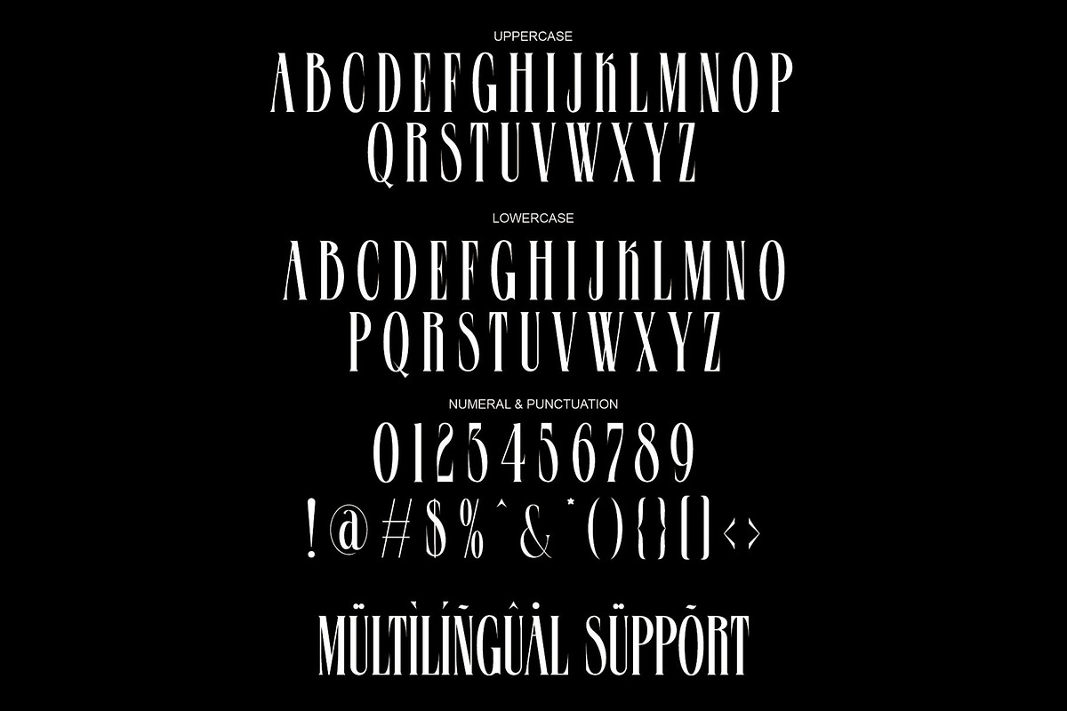 Centrue Modern Display Serif, a Serif Font by Alfinart (Photo 9 of 11)