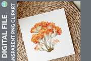 Mushroom Illustration Bundle, 35 PNG, a Decorative Illustration by Enliven Designs (Thumbnail 8 of 8)
