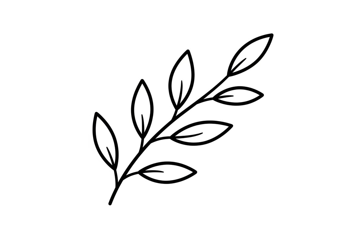 Botanical Leaf Silhouette Bundle, an Illustration by Creativeshirt (Photo 5 of 51)