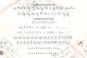 Agatha | Script Font, a Handwritten Font by Scratchones (Thumbnail 7 of 8)