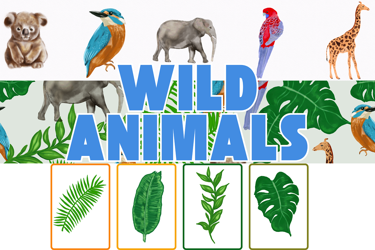 Wildlife Animals Set, an Animal Illustration by AMMi (Photo 1 of 4)