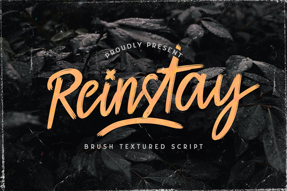 Reinstay - Brush Script Font