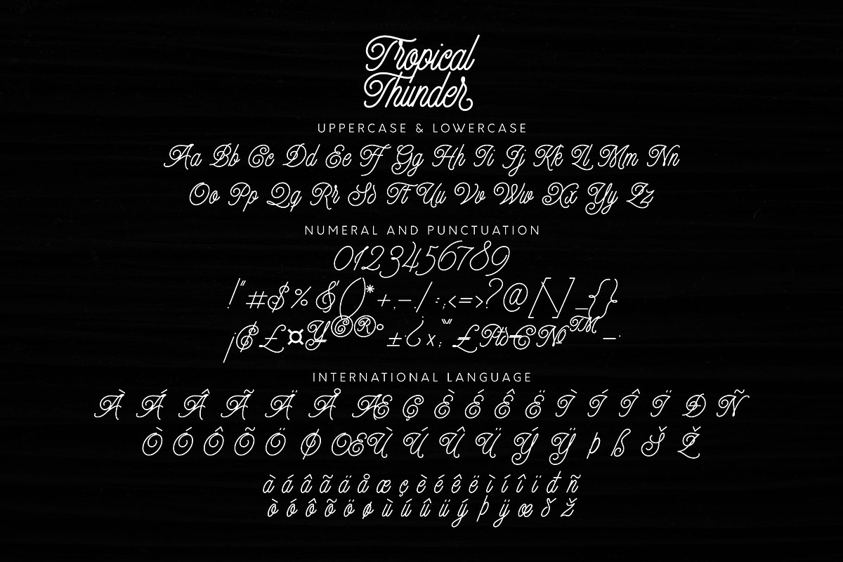 Tropical Thunder-Monoline Script preview 6