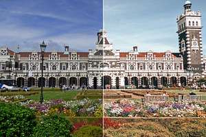 Dunedin Pro Lightroom Presets