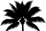 Palm Tree SVG Bundle, an Illustration by Creativeshirt (Thumbnail 5 of 7)