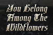 CS Enigma Drawn, a Blackletter Font by Craft Supply Co. (Thumbnail 3 of 8)