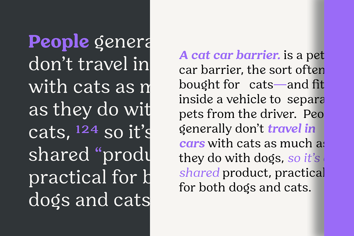 Hornbill; 18 Retro Fonts, a Serif Font by Eko Bimantara (Photo 9 of 10)