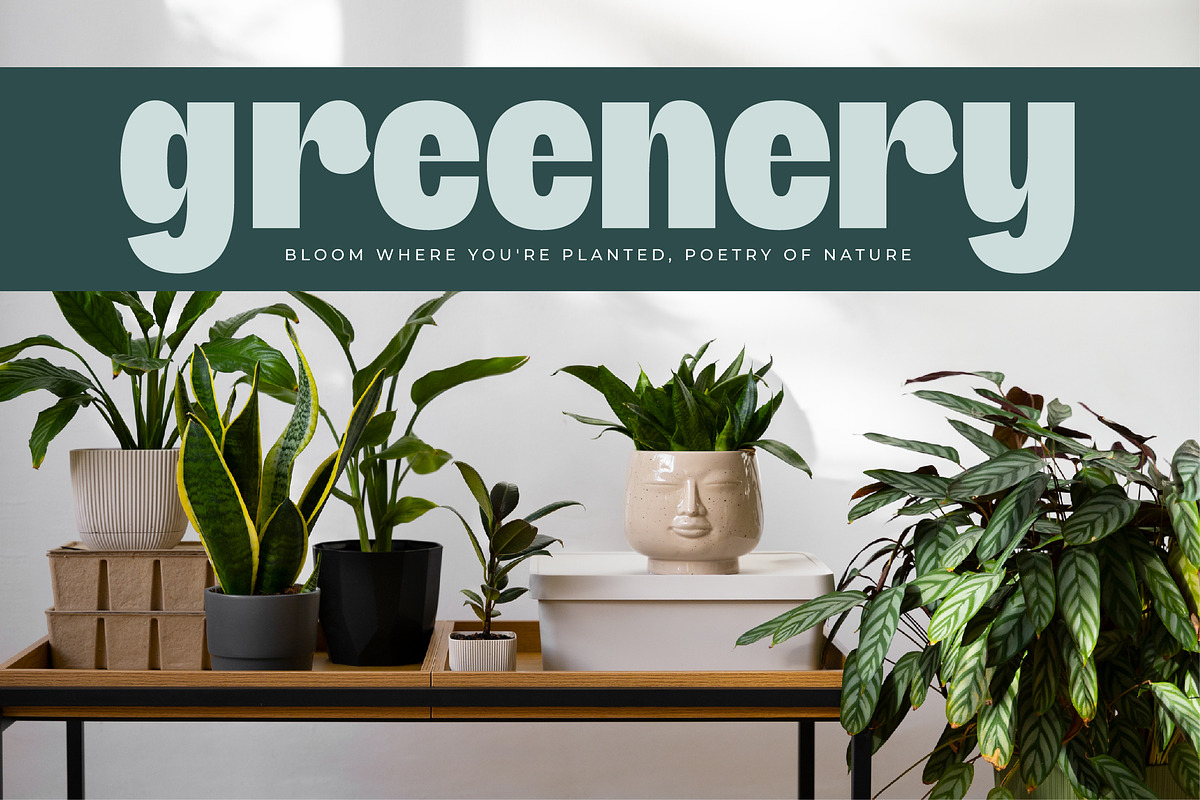 Giftson Playful Display Serif, a Serif Font by timelesstype.co (Photo 10 of 20)