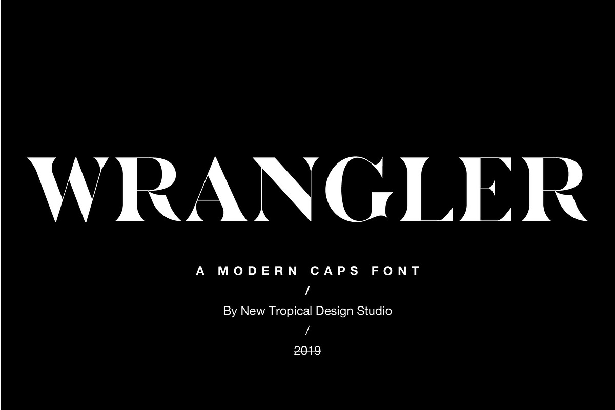 The Chic & Unique Modern Font Bundle, a Sans Serif Font by Tropical Type (Photo 7 of 40)