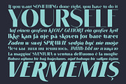 VOGUER Sans family, a Sans Serif Font by NREY (Thumbnail 2 of 7)