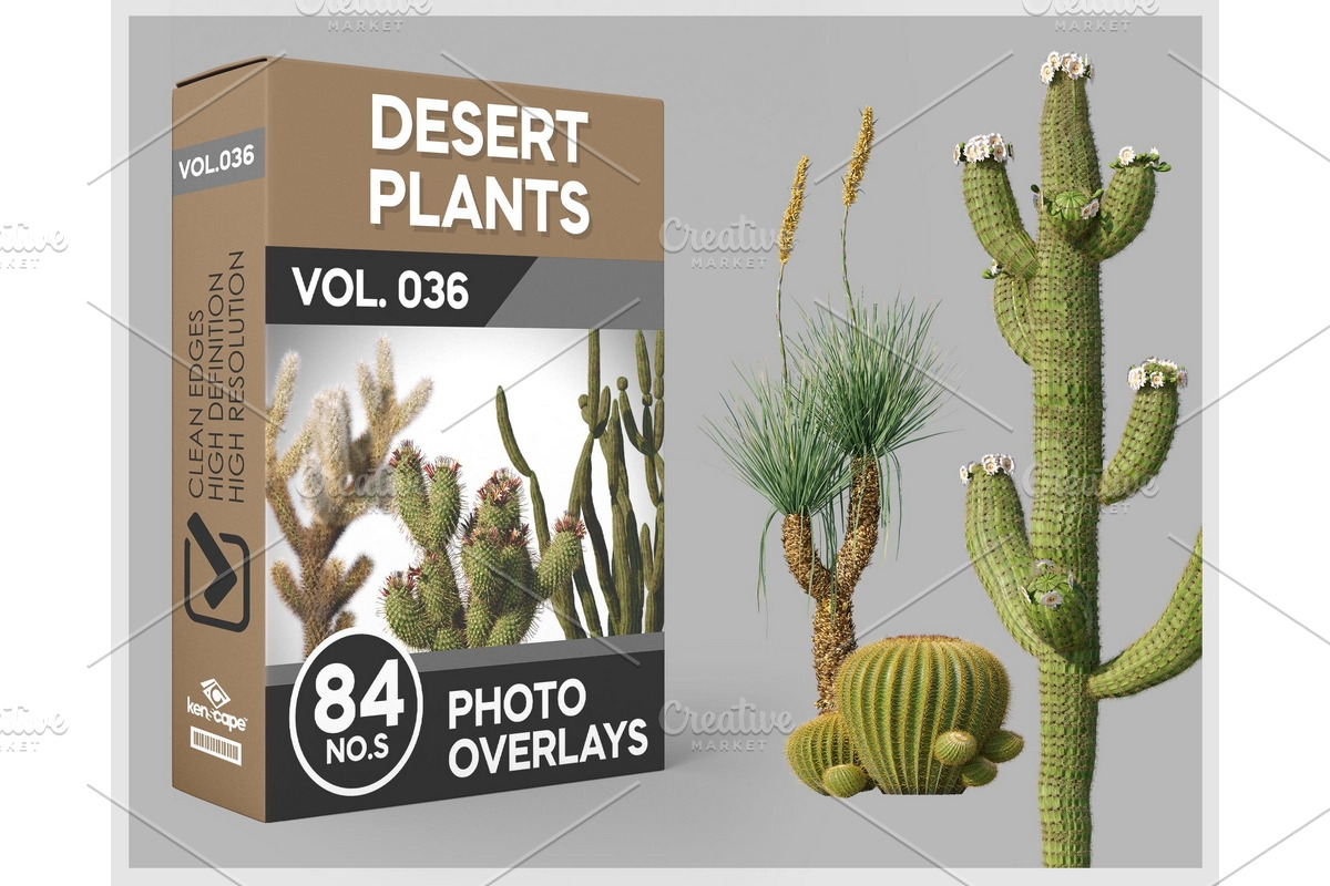 84 Desert Plants Photo Overlays, a Nature Photo by KenScape (Photo 1 of 3)