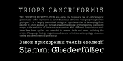 Leto Two, a Serif Font by Glen Jan (Thumbnail 9 of 10)