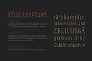 Scottsdale Serif, a Serif Font by Adam Fathony (Thumbnail 10 of 15)