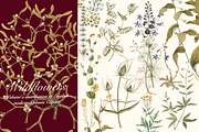 Distribution of English Plants, a Decorative Illustration by Lilithcollageart (Thumbnail 5 of 8)