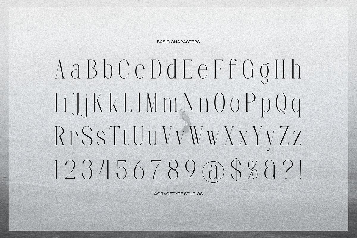 Furigale | Classic Serif, a Serif Font by gracetype_studio (Photo 10 of 12)
