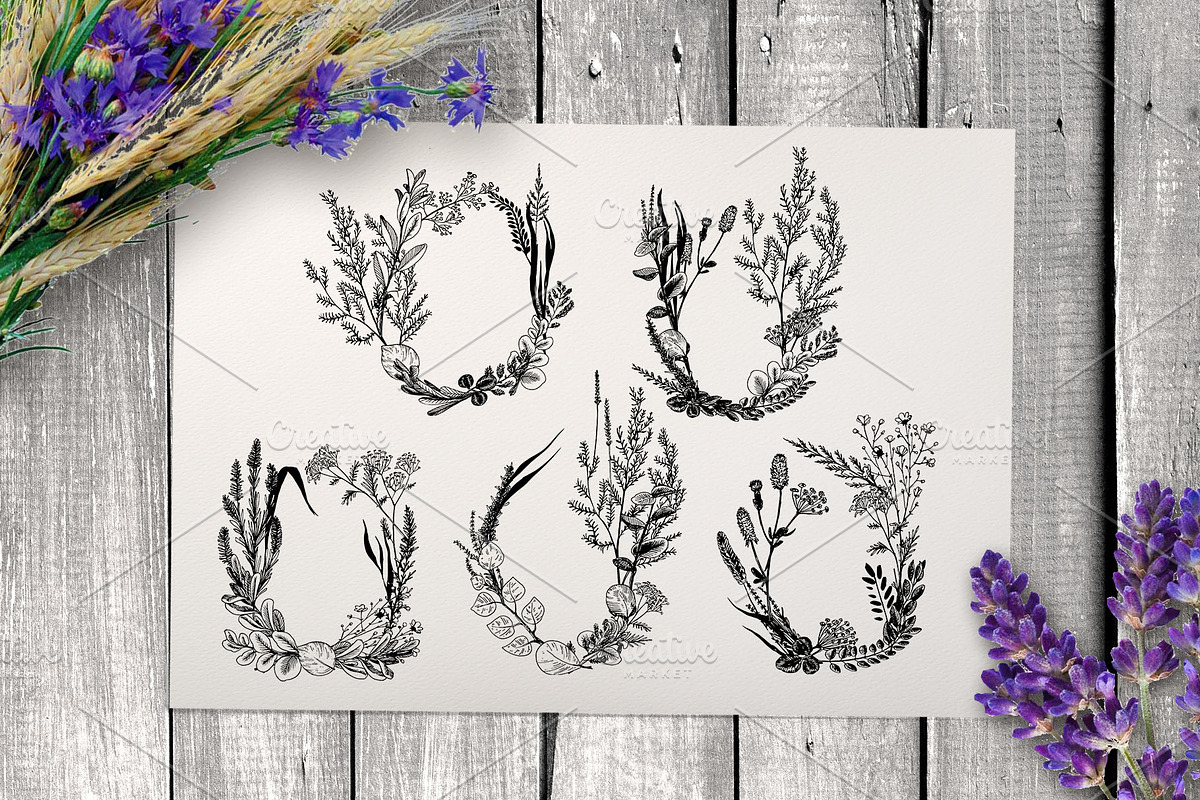 Wild field herbs. Botanical set., a Healthcare Illustration by Alena Kaz (Photo 9 of 12)