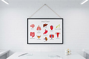 Human Internal Organs Clipart, a Healthcare Illustration by the_myro (Thumbnail 3 of 11)