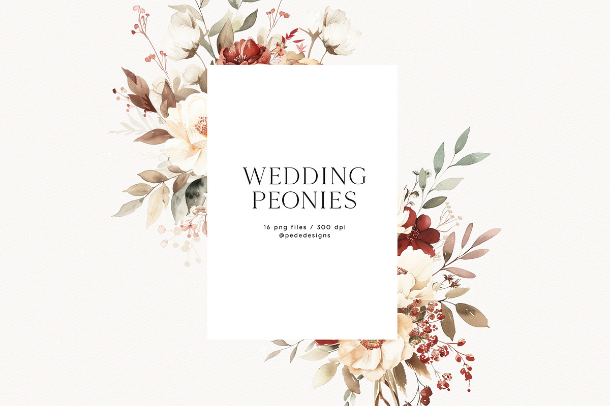 Wedding Peonies, a Decorative Illustration by PeDe Designs (Photo 3 of 10)