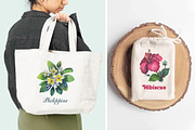 Philippine Native Flowers watercolor, a Decorative Illustration by FITALARTSNEDIGI (Thumbnail 6 of 8)