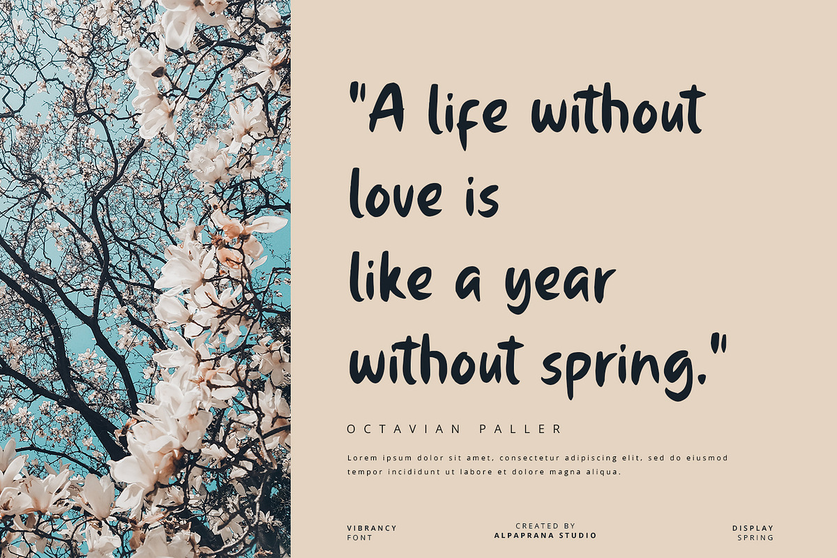 Vibrancy - Display Font, a Script Font by Alpaprana (Photo 3 of 9)