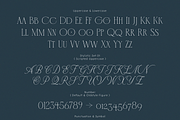Salira Typeface, a Sans Serif Font by wubstudio (Thumbnail 11 of 15)