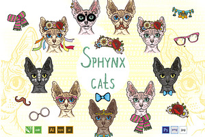 Sphynx Cats Set