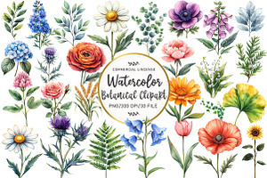 Vintage Botanical Clipart, an Illustration by OK Design