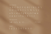 Hident Elegant Serif Display Font, a Serif Font by Graphicxell (Thumbnail 7 of 8)