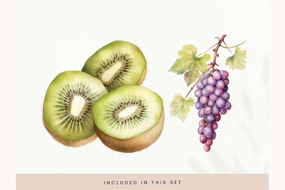 Watercolor Fruit Clipart, Fresh PNG, a Decorative Illustration by illuztrate (Photo 11 of 13)