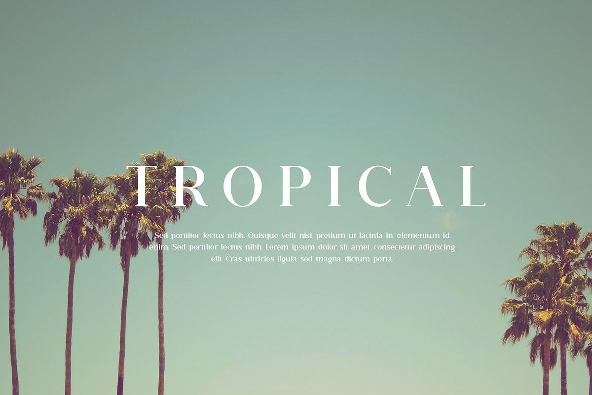Breadley Serif, a Serif Font by Ardyanatypes (Photo 7 of 12)