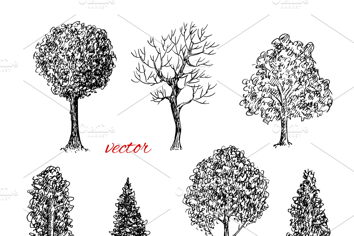 Hand Drawn Trees, an Object Graphic by Eugenia Hauss Design (Photo 3 of 3)