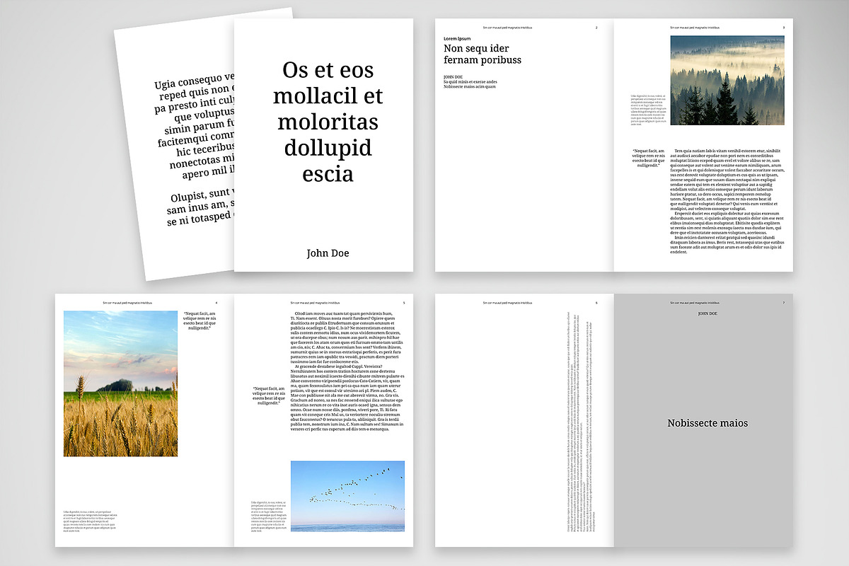 Modern Editorial Brochure Template preview 2