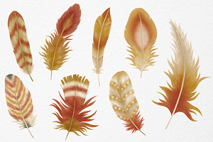 Feathers Watercolor Clipart