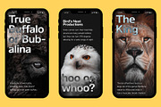 Jam Grotesque Alt, a Sans Serif Font by JAM Type (Thumbnail 5 of 11)