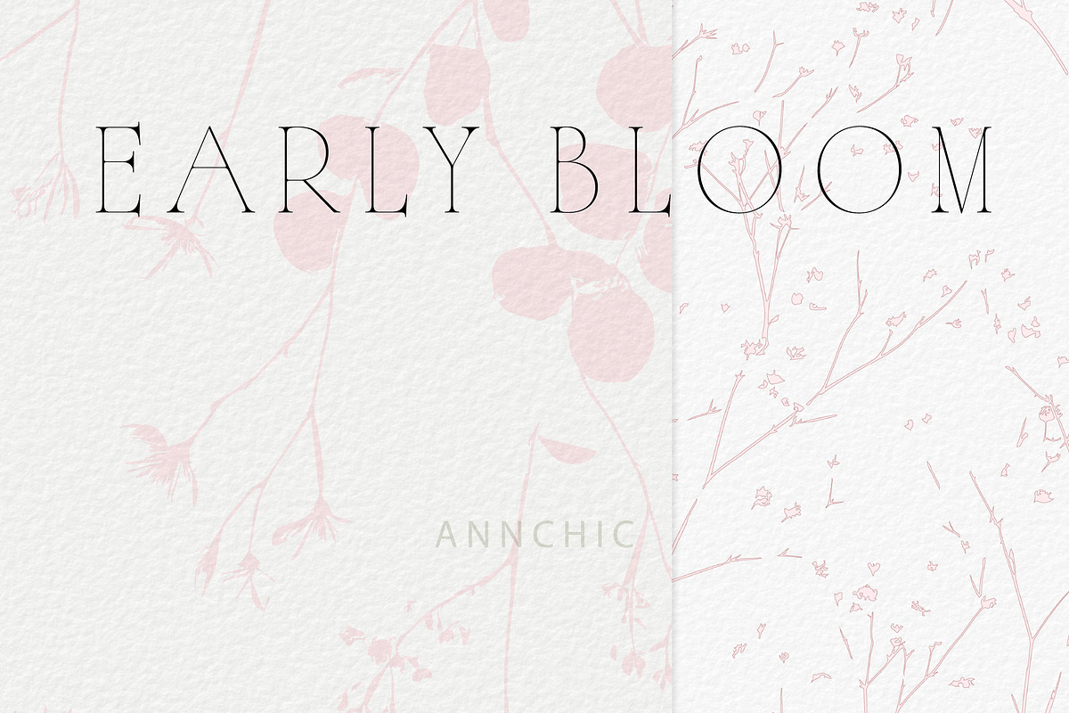 Botanical Background Collection, a Background Graphic by Anna Sokol (Photo 4 of 14)