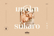 Ralika Ligature Serif Typeface, a Serif Font by yaqublekker (Thumbnail 3 of 10)