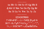 Beyond Wandler Modern Serif Font, a Serif Font by timelesstype.co (Thumbnail 18 of 20)