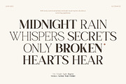 TT Gateral – Elegant Serif Typeface, a Serif Font by truetype (Thumbnail 2 of 15)