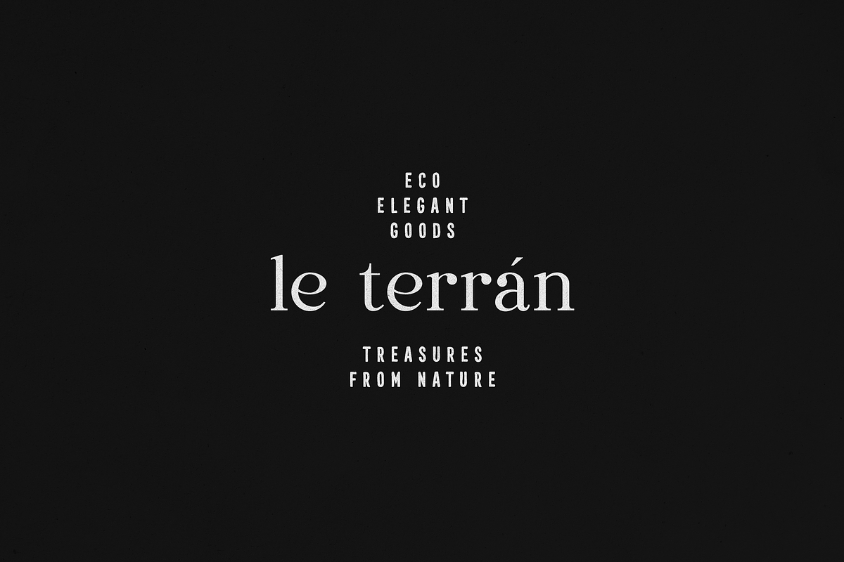 Dentra Solina – Elegant Font Duo, a Serif Font by Only Fonts (Photo 6 of 10)