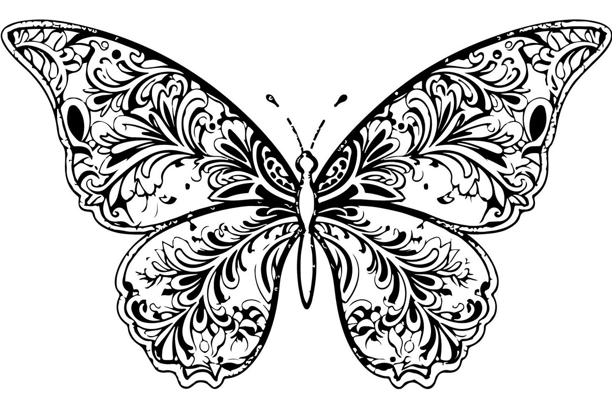 Butterfly Silhouette Bundle, a Decorative Illustration by Designer_Momina (Photo 9 of 20)
