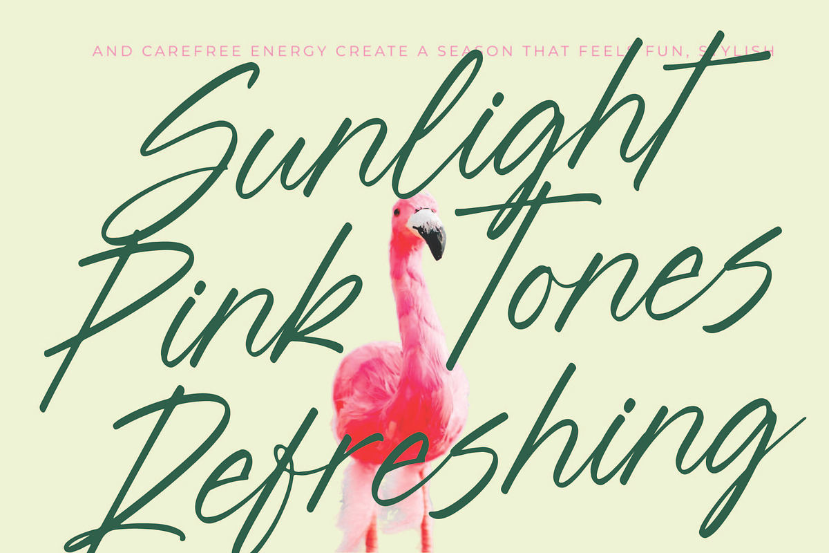 Blynkas Scripte Handwritten Font, a Script Font by Letterena Studios Script (Photo 2 of 15)