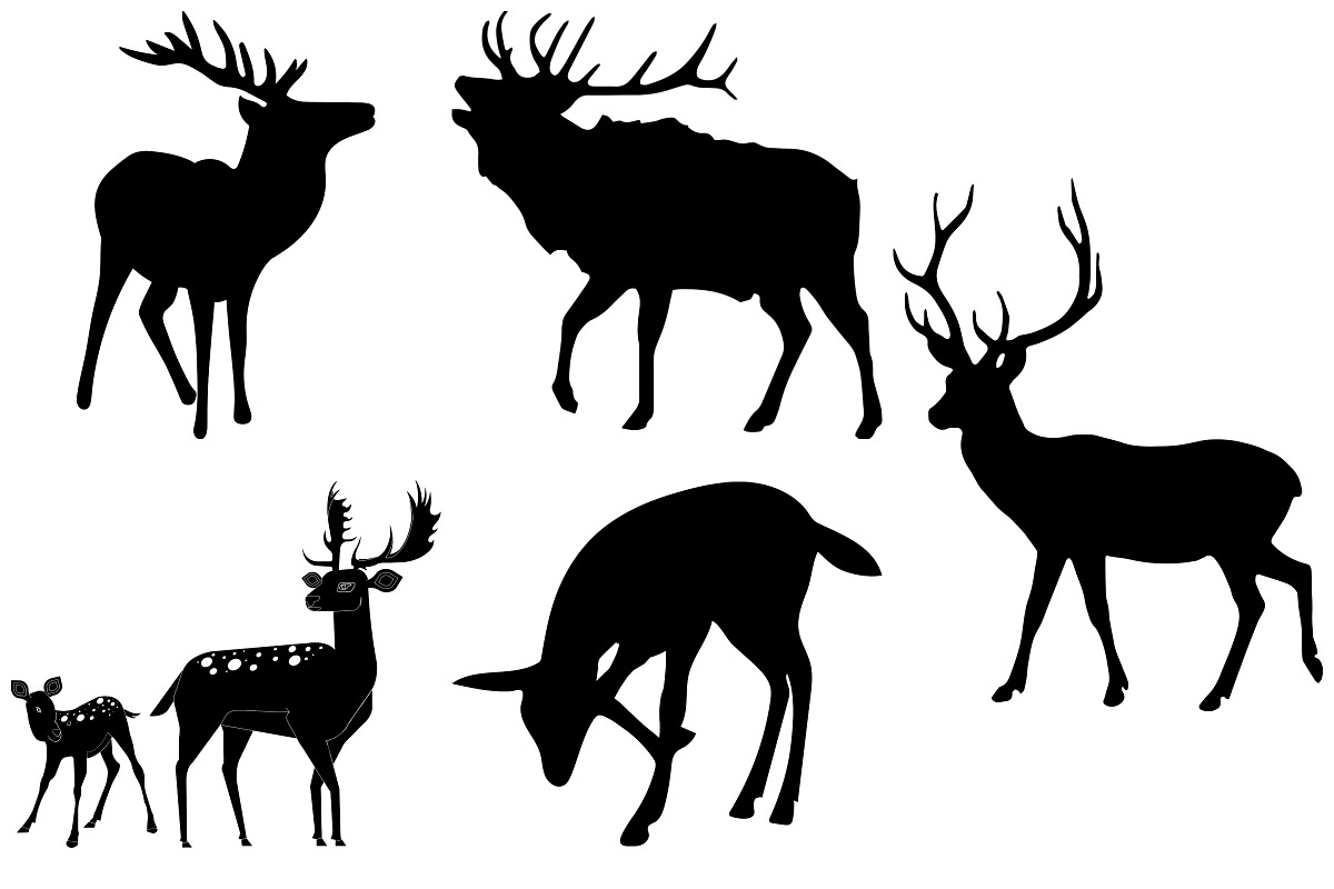 Deer,Forest,AntlerAnimals AI EPS PNG, an Illustration by FrankiesDaughtersDesign (Photo 4 of 6)