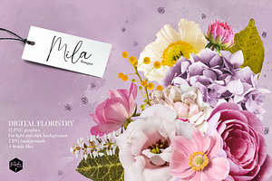 Isolated real flowers clipart set