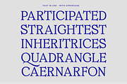 MTC Ciscela - Unique Serif Display, a Serif Font by Martype Co (Thumbnail 9 of 9)