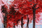 454 Infrared Fantasy Pro LUTs, a Preset Add-On by ShutterPro (Thumbnail 12 of 48)