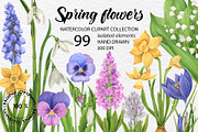 Watercolor wild spring flowers set, a Decorative Illustration by KathrineWatercolor (Thumbnail 1 of 10)